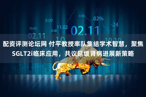 配资评测论坛网 付平教授率队集结学术智慧，聚焦SGLT2i临床应用，共议延缓肾病进展新策略