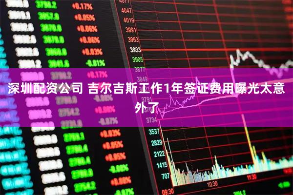 深圳配资公司 吉尔吉斯工作1年签证费用曝光太意外了