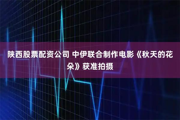 陕西股票配资公司 中伊联合制作电影《秋天的花朵》获准拍摄